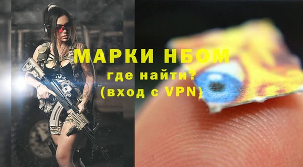 хмурый Белокуриха