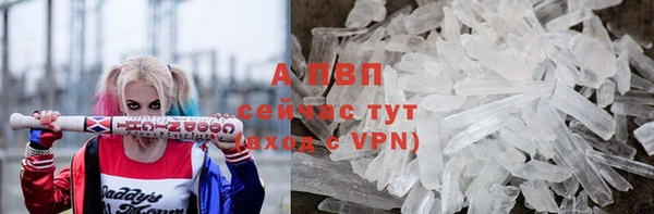 индика Белоозёрский