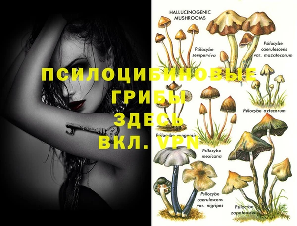 spice Балахна