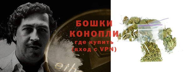 индика Белоозёрский
