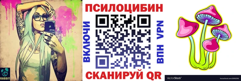 дарнет шоп Ясный Псилоцибиновые грибы Psilocybine cubensis